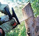Best Utility Line Clearance  in Jacksonville, TX