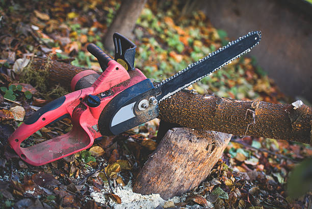 Best Arborist Consultation Services  in Jacksonville, TX